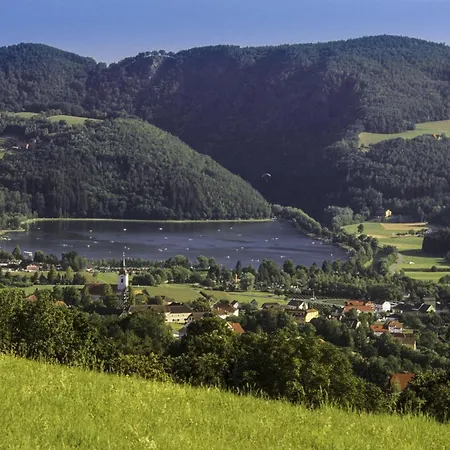Hotel Michlhof 3*